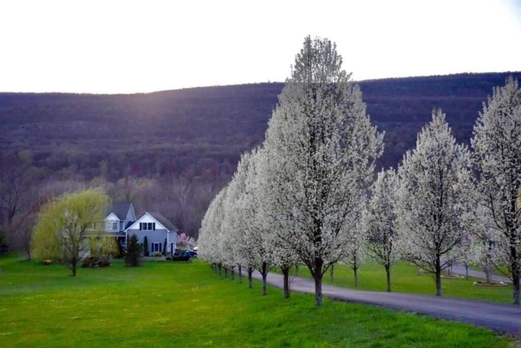 Malkita'S Mountain View Villa Woodbury  Exteriör bild